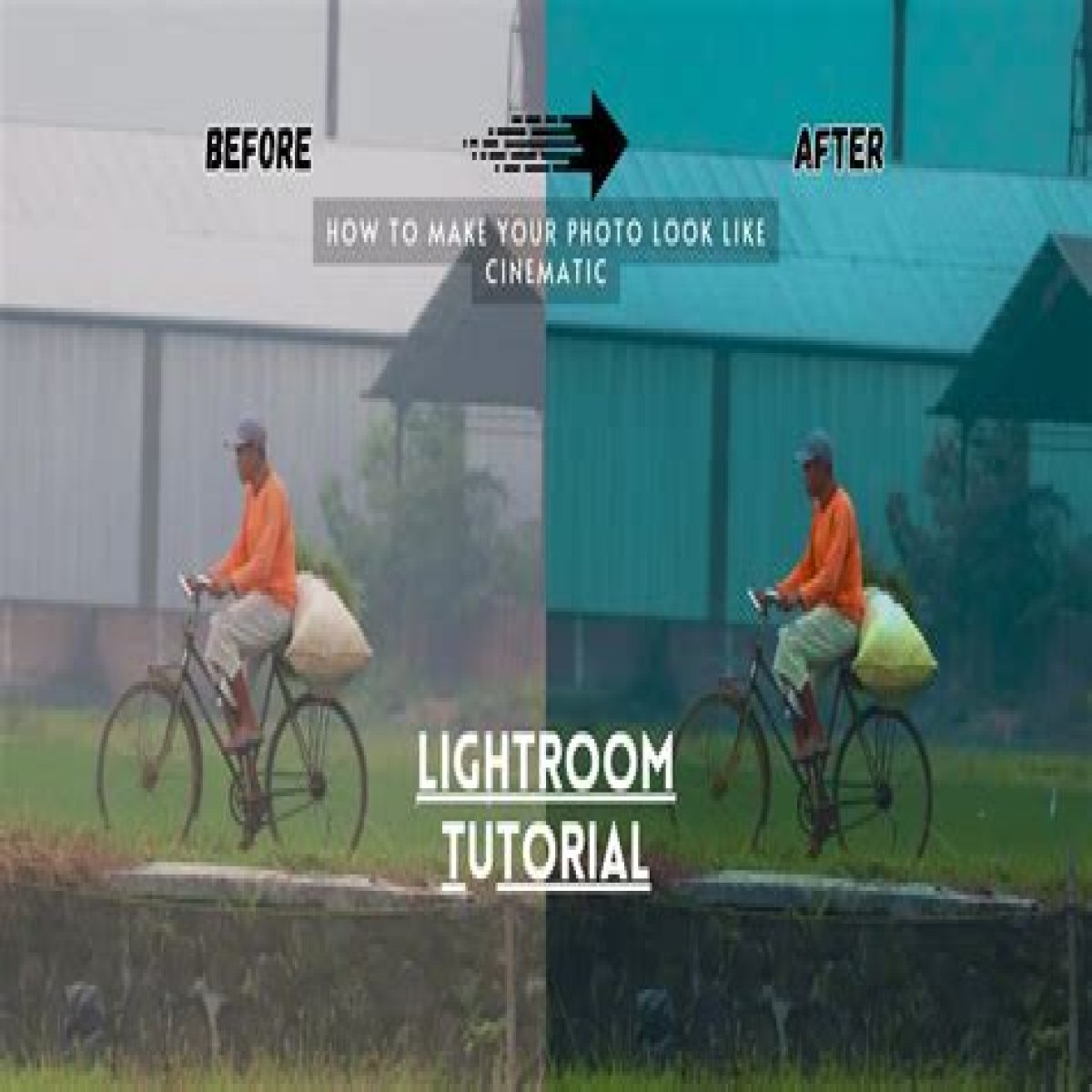HTML